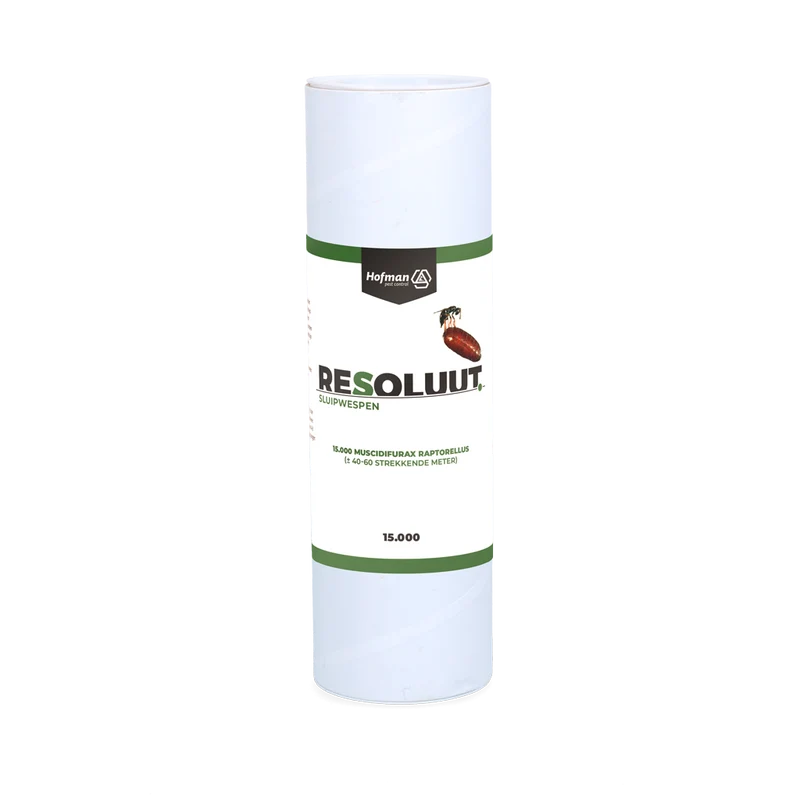 Resoluut Sluipwespen