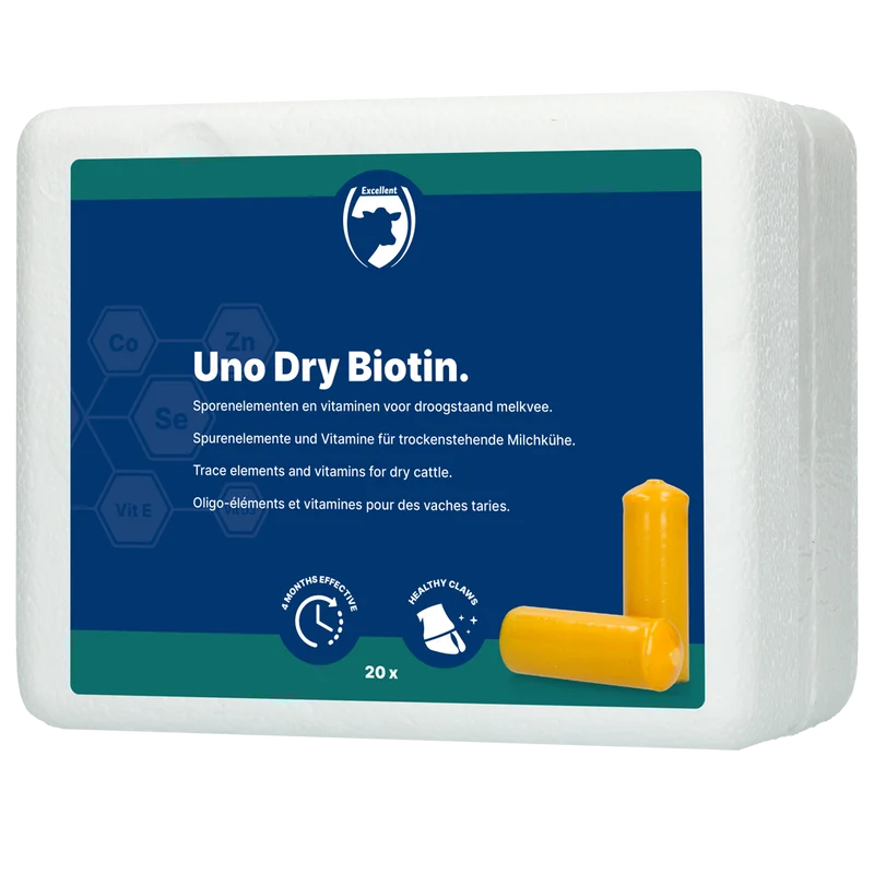 Excellent Uno Dry Biotin