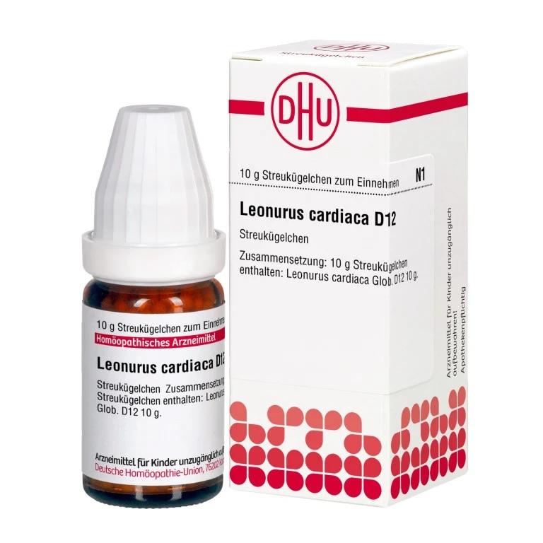 DHU Leonurus cardiaca D12 Globuli, 10 g Globuli