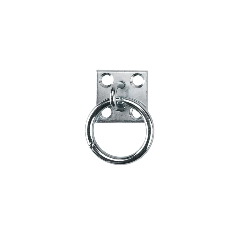 Stal aanbind/vastzet ring