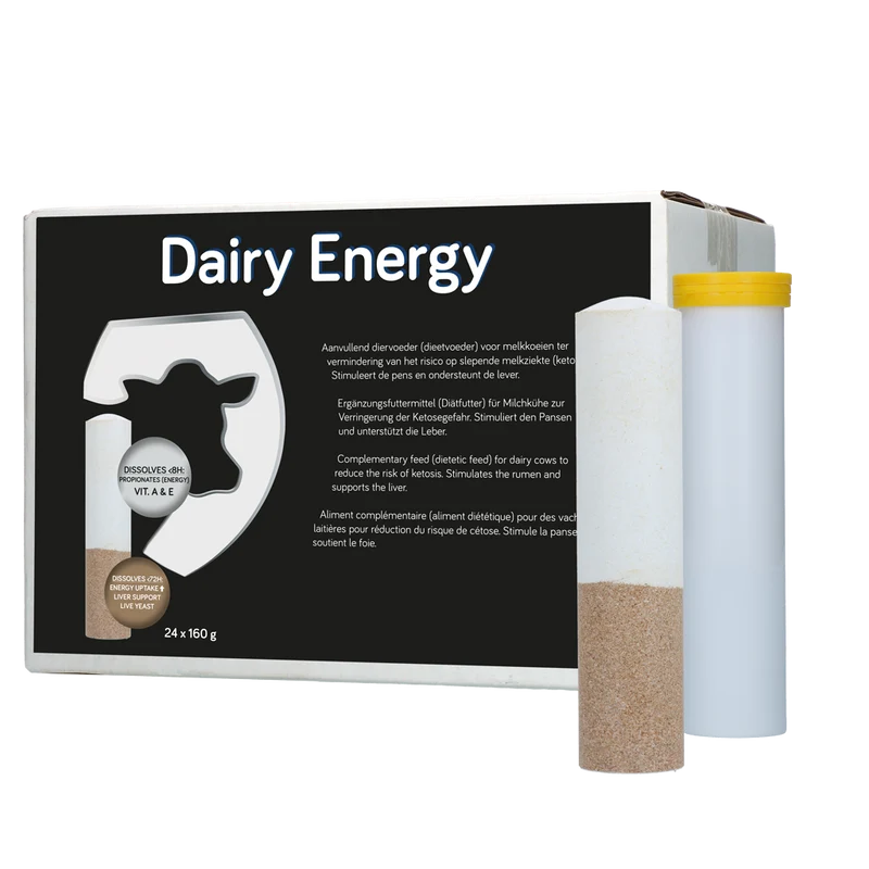 Dairy Energy Bolus