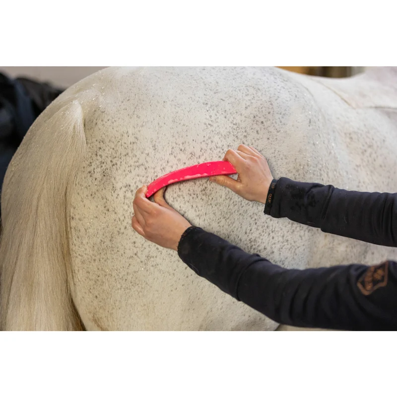 Excellent Horse Grooming Brush