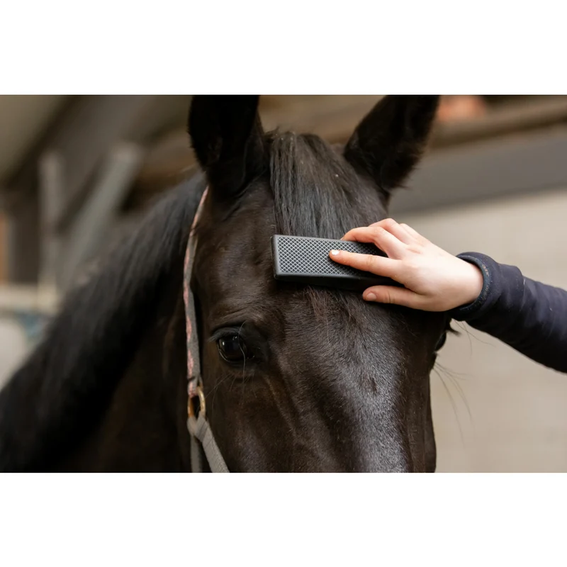 Excellent Horse Grooming Brush