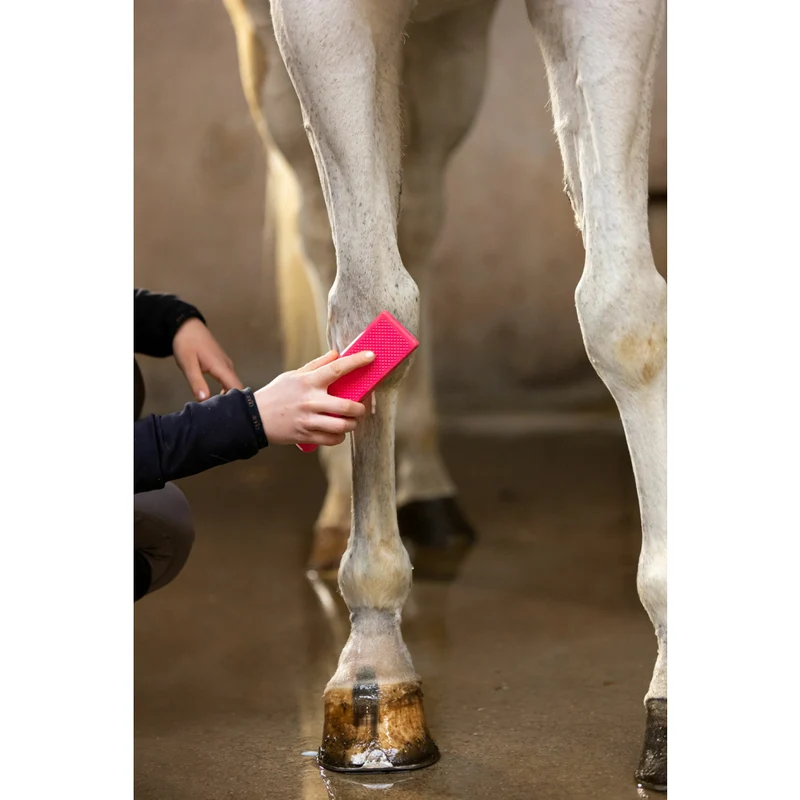 Excellent Horse Grooming Brush