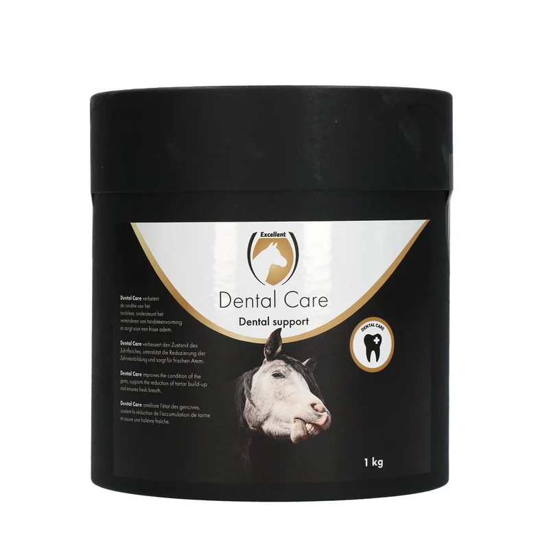 Excellent Horse Dental Care