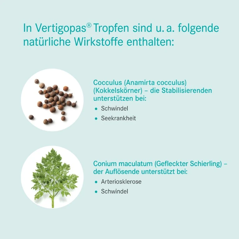 Vertigopas® Tropfen, 100 ml TRO
