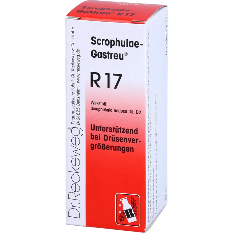 Dr. Reckeweg Scrophulae-Gastreu R17 Tropfen unterstützend bei Drüsenvergrößerungen, 50 ml Lösung