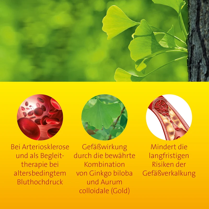 Ginkgo biloba comp. Hevert, 100 ml Lösung