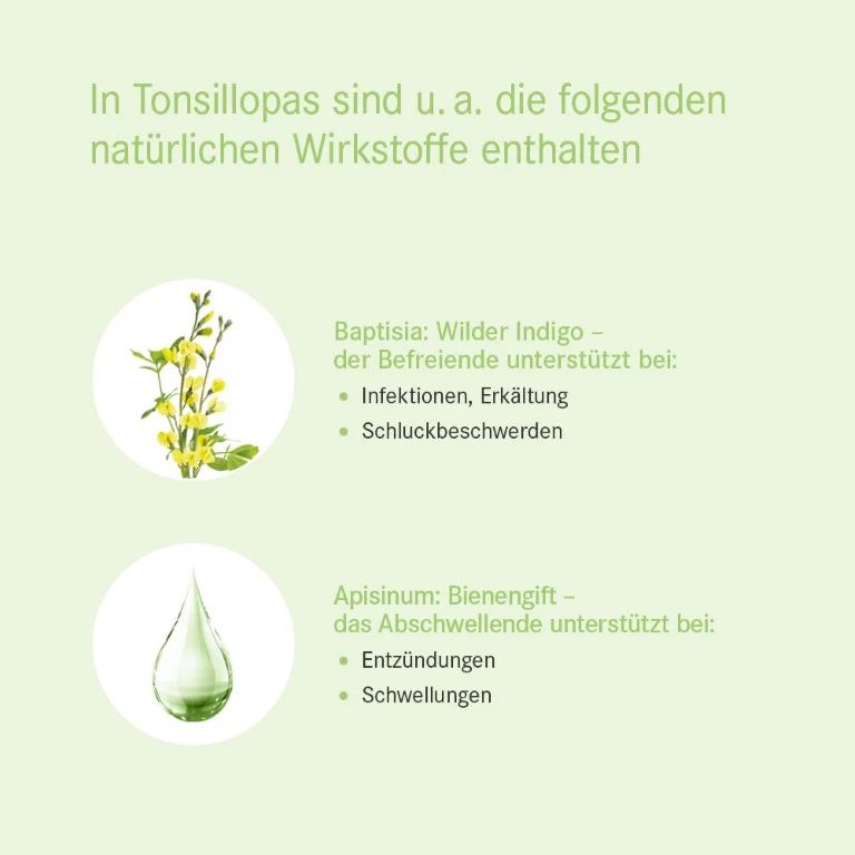 Tonsillopas Mischung bei Entzündungen des Rachenraums, 50 ml Lösung