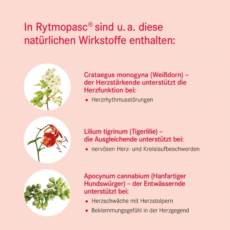 Rytmopasc Tropfen bei Erkrankungen des Herz-Kreislauf-Systems, 100 ml Lösung