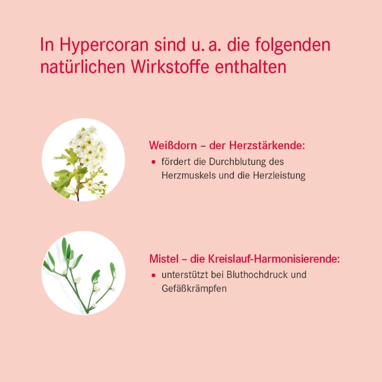 Pascoe Hypercoran Lösung, 50 ml Lösung