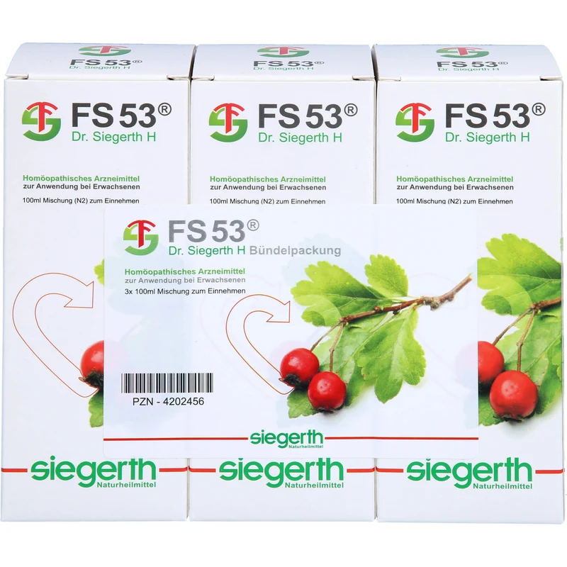 FS 53 Dr. Siegerth H flüssig, 3X100 ml FLU