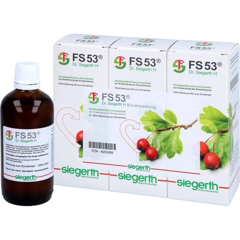 FS 53 Dr. Siegerth H flüssig, 3X100 ml FLU
