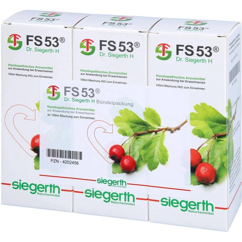 FS 53 Dr. Siegerth H flüssig, 3X100 ml FLU
