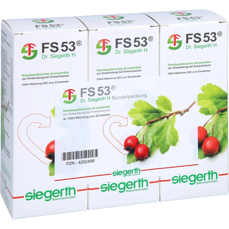 FS 53 Dr. Siegerth H flüssig, 3X100 ml FLU