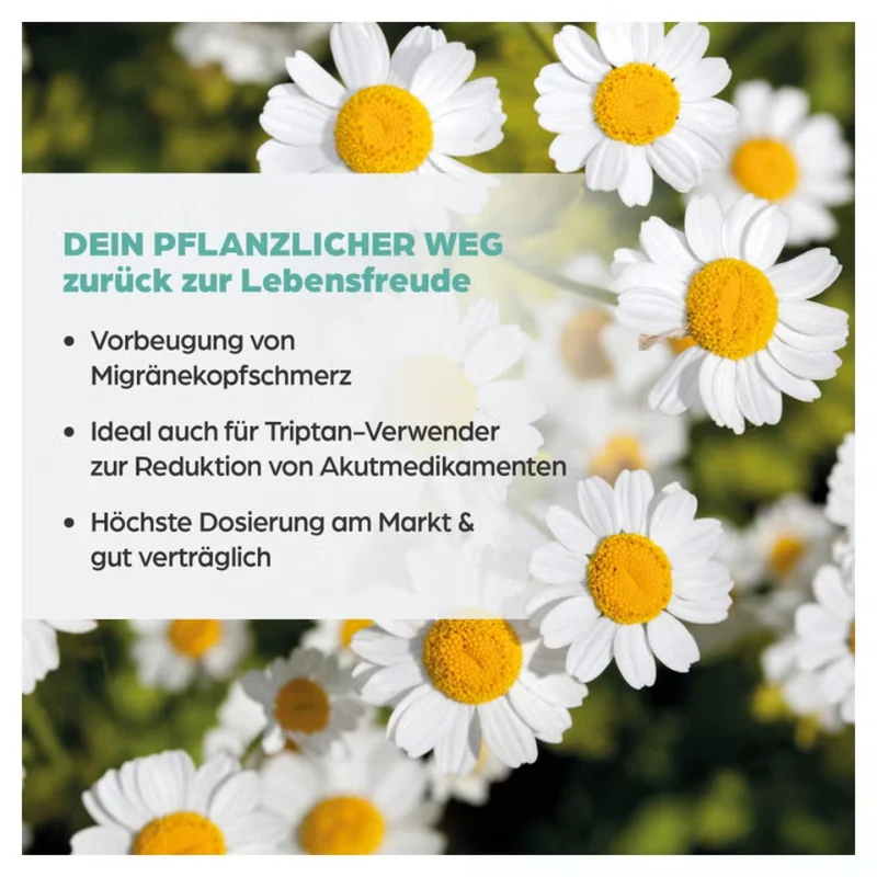 Dr. Böhm Mutterkraut Apomedica 200 mg, 60 St. Tabletten