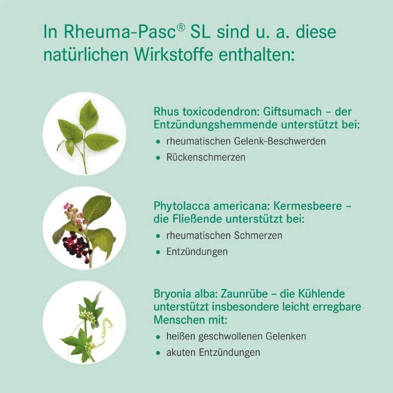 Rheuma-Pasc SL Mischung bei Erkrankungen des Bewegungsapparates, 50 ml Lösung
