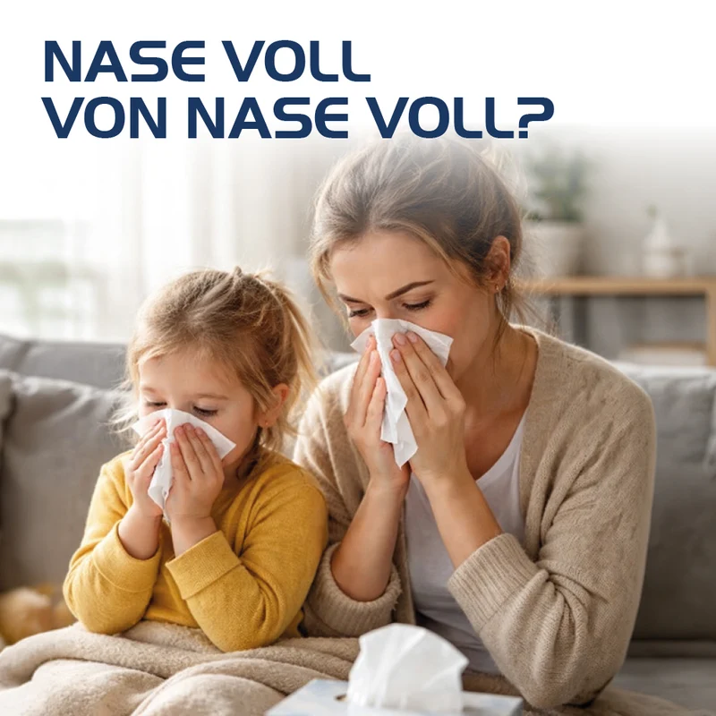 Sinusitis Hevert, 100 St. Tabletten