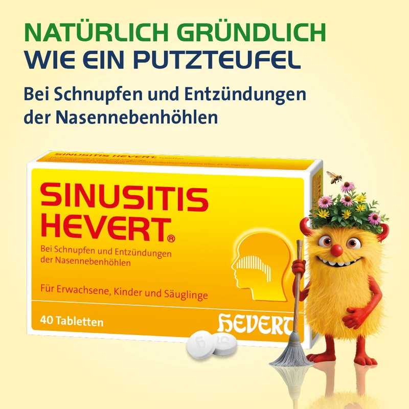 Sinusitis Hevert, 100 St. Tabletten