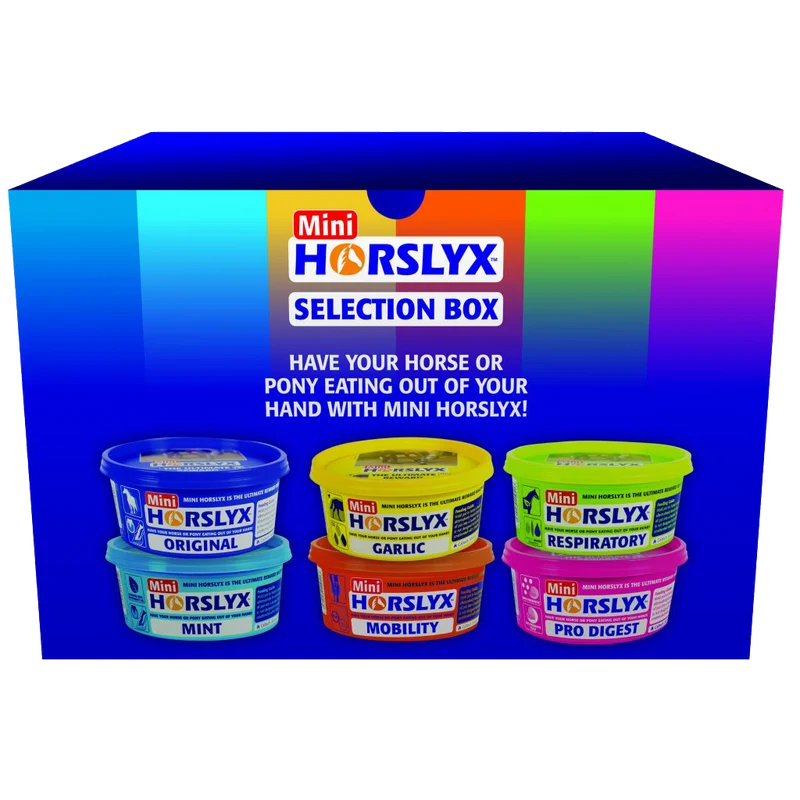Horslyx Mini Selection Box