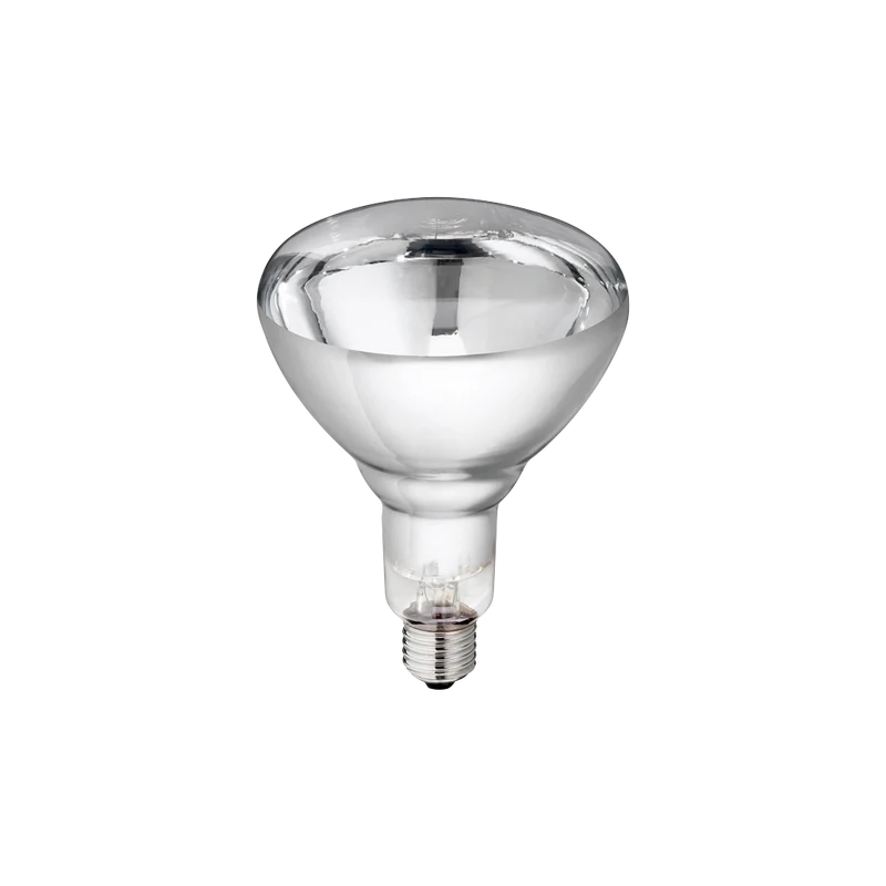 Hard Glas Lamp