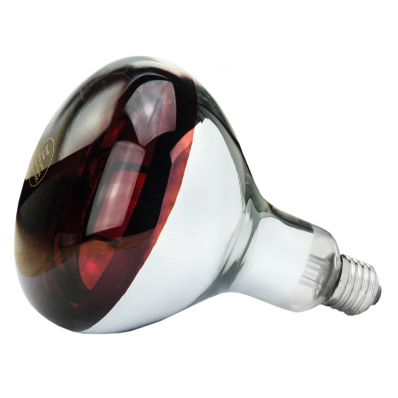 Hard Glas Lamp