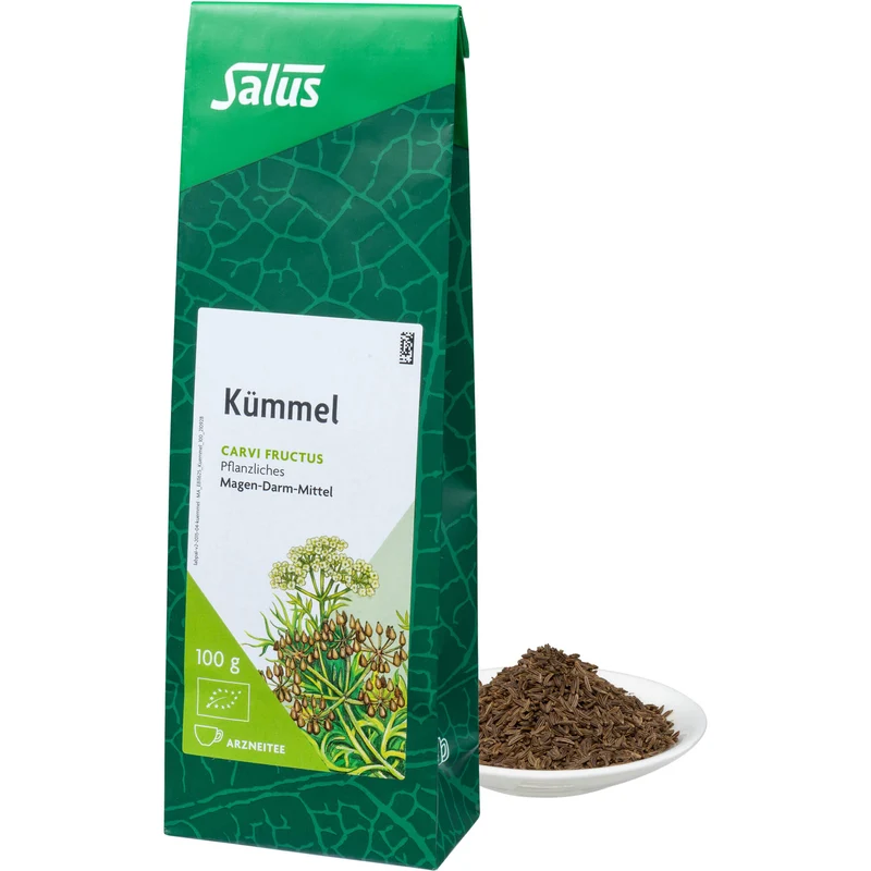 Kümmel Arzneitee Carvi fructus bio Salus, 100 g TEE