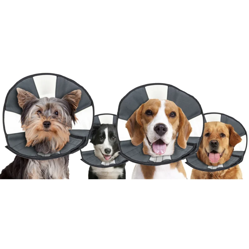 Zenpet Procone