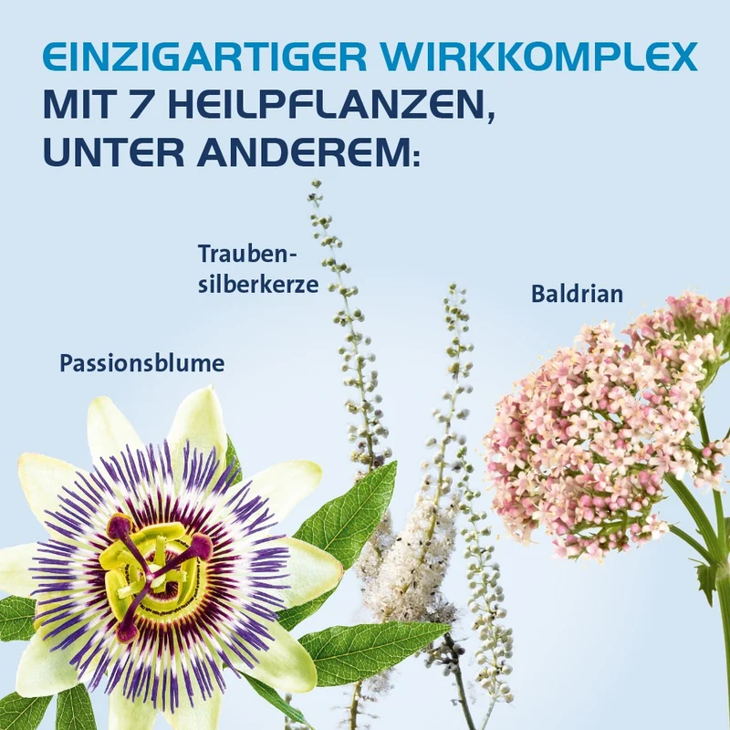 Calmvalera Hevert Tabletten, 60 St. Tabletten