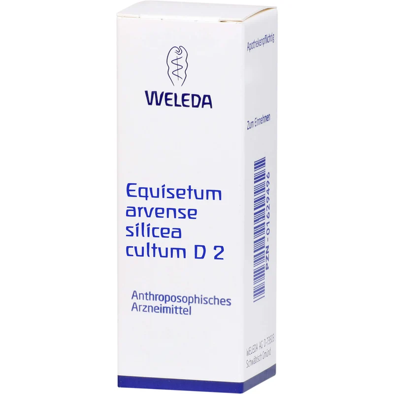 Equisetum arvense Silicea cultum Weleda D2 Dil., 50 ml DIL