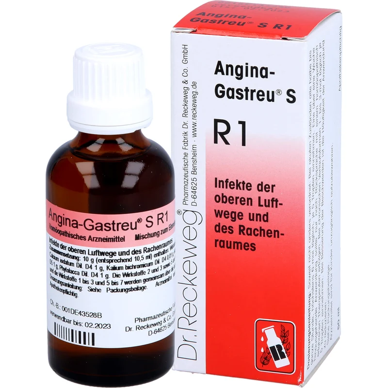 Dr. Reckeweg Angina-Gastreu S R1 Tropfen, 50 ml Lösung