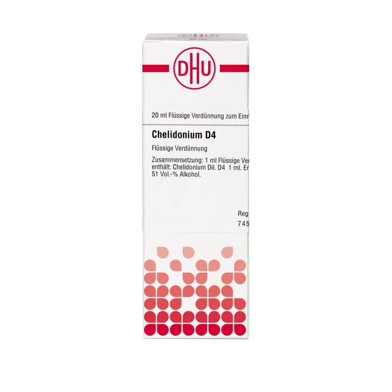 DHU Chelidonium D4 Dilution, 20 ml Lösung