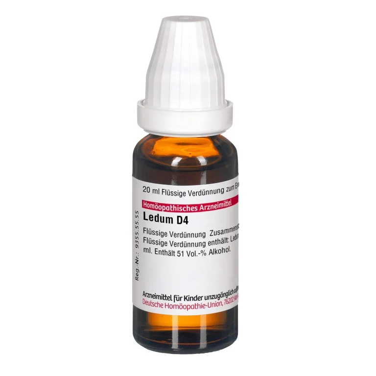 Ledum D4 DHU Dilution, 20 ml Lösung