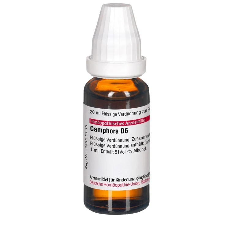 Camphora D6 DHU Dilution, 20 ml Lösung
