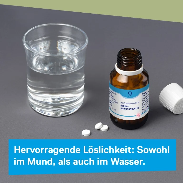 DHU Schüßler-Salz Nr. 9 Natrium phosphoricum D6, 900 St. Tabletten