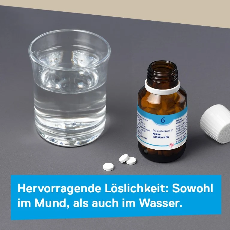 DHU Schüßler-Salz Nr. 6 Kalium sulfuricum D6, 900 St. Tabletten