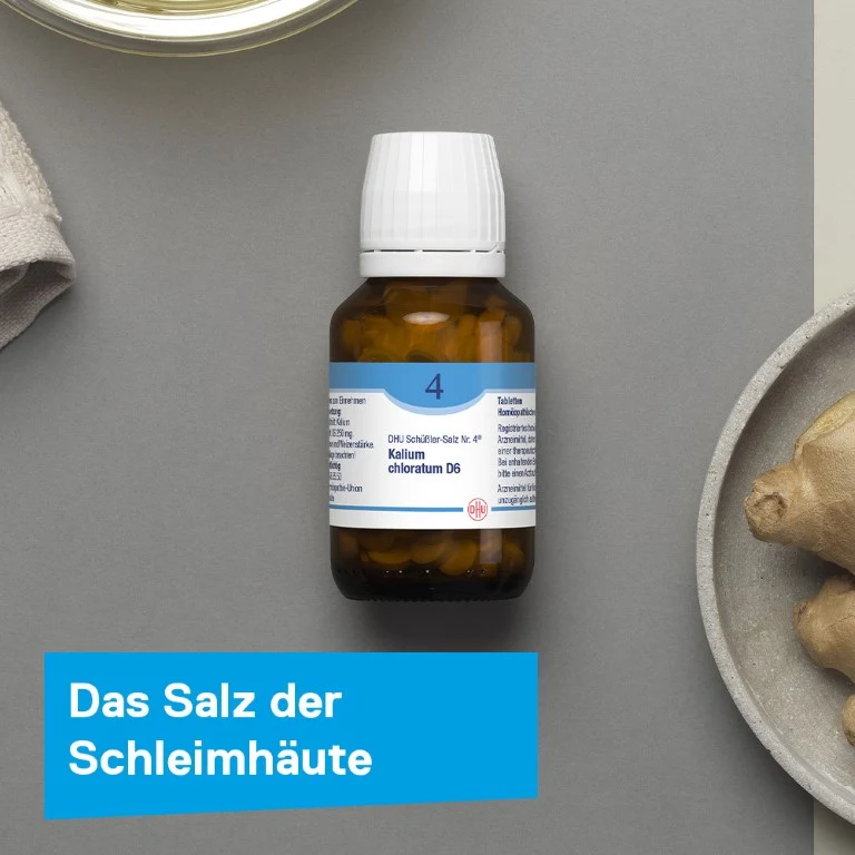 DHU Schüßler-Salz Nr. 4 Kalium chloratum D6, 900 St. Tabletten
