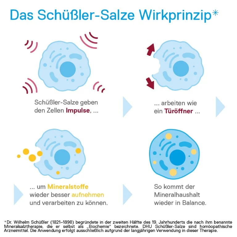 DHU Schüßler-Salz Nr. 4 Kalium chloratum D6, 900 St. Tabletten