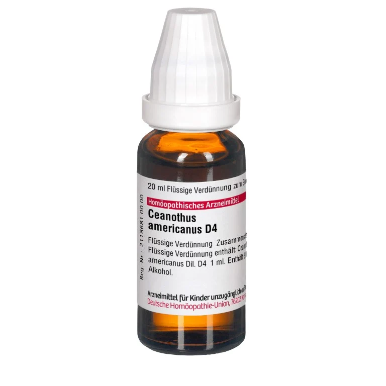 Ceanothus americanus D4 DHU Dilution, 20 ml Lösung