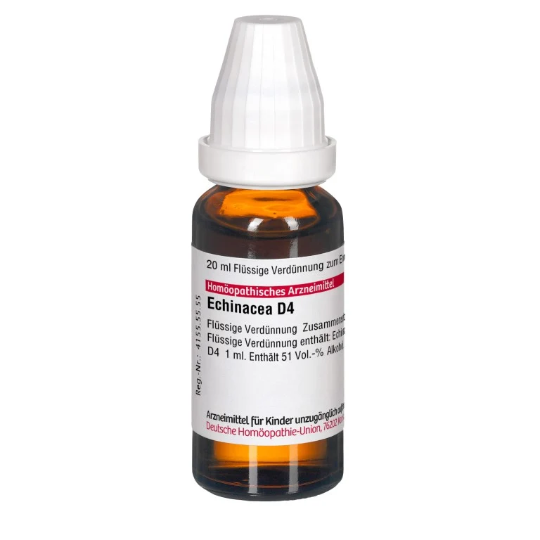 Echinacea HAB D4 DHU Dilution, 20 ml Lösung