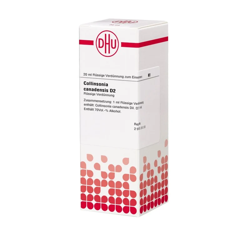 Collinsonia canadensis D2 DHU Dilution, 20 ml Lösung
