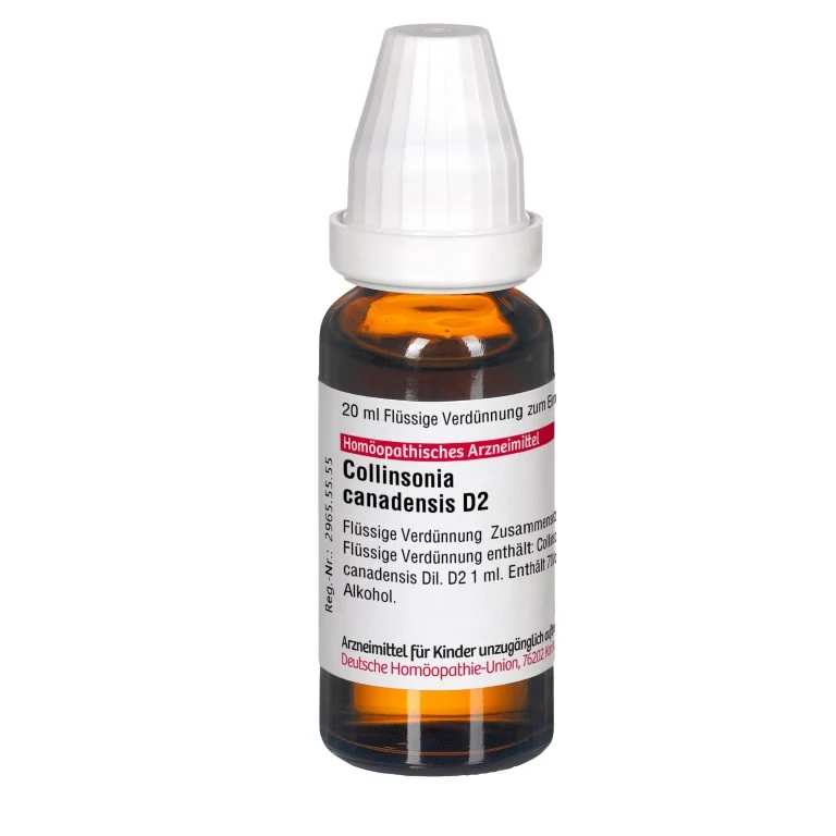 Collinsonia canadensis D2 DHU Dilution, 20 ml Lösung