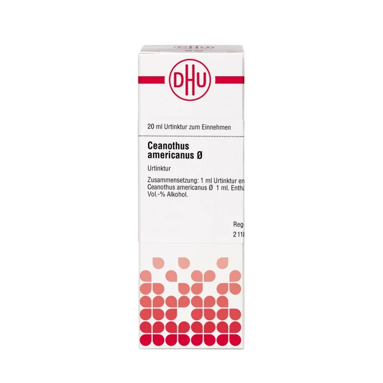 Ceanothus americanus Urtinktur DHU, 20 ml Lösung