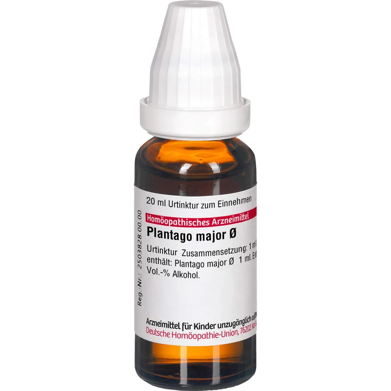 Plantago major DHU Urtinktur, 20 ml Lösung