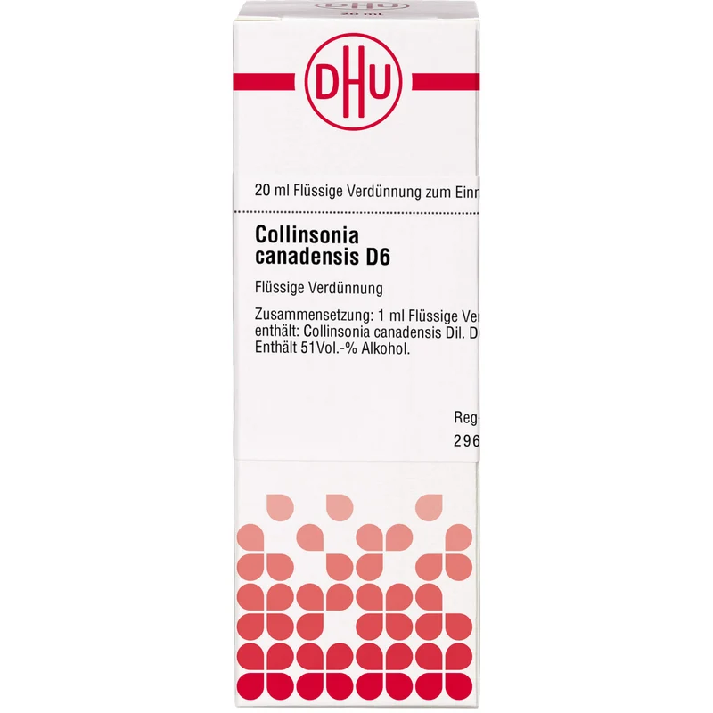 Collinsonia canadensis D6 DHU Dilution, 20 ml Lösung