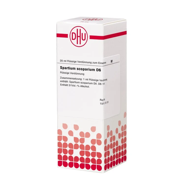 Spartium scoparium D6 DHU Dilution, 20 ml Lösung