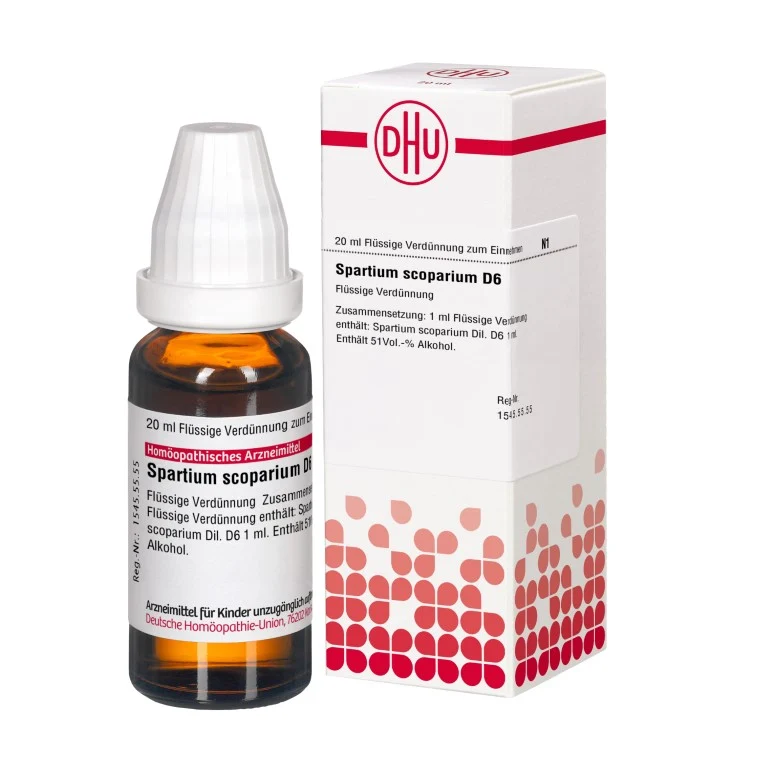 Spartium scoparium D6 DHU Dilution, 20 ml Lösung