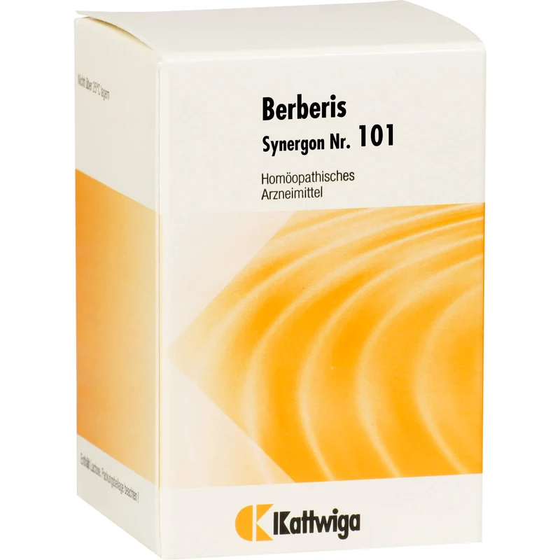 Synergon Komplex 101 Berberis Tabletten, 200 St. Tabletten