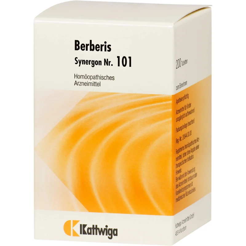 Synergon Komplex 101 Berberis Tabletten, 200 St. Tabletten