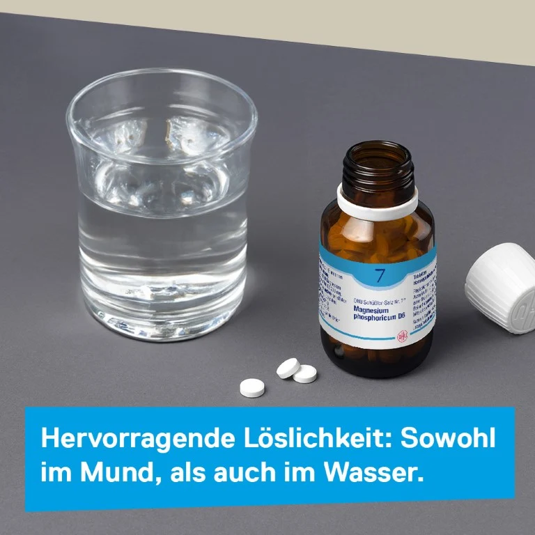 DHU Schüßler-Salz Nr. 7 Magnesium phosphoricum D6, 900 St. Tabletten